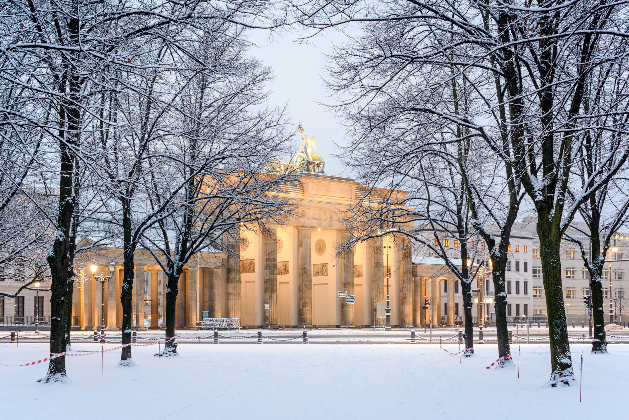 Trees of Berlin Tiergarten and illuminated Brandenburg gate (Brandenburger Tor) in snow, Berlin, Germany, Europe